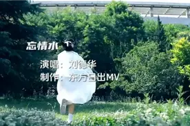 音乐MV《忘情水》演唱:刘德华