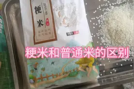 #粳米和普通大米的区别，各位仔细看下！视频封面