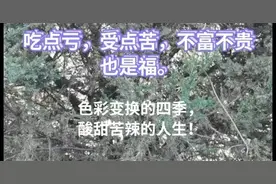 色彩变换的四季，
酸甜苦辣的人生！视频封面