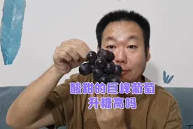 酸甜的巨峰葡萄真的比阳光玫瑰葡萄友好吗？吃一些验证一下！