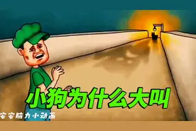 215集：仔细观察，小狗狗究竟为什么汪汪大叫呢？