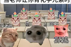 #猫meme #化学元素周期表  #苹果香视频封面