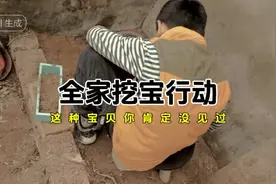 挖宝大揭秘:这宝贝我敢说95%的人都不知道叫什么名字？可接筋续骨