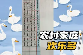 排列五最新第一期二期视频规律讲解视频封面