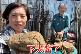 四月二十八，婆婆下大酱了，东北农村家家都做，一年四季离不了视频封面