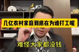 几亿农村家庭 到底在为谁打工呢