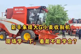 新手来提大G小麦收割机，现场学习一下操作，看能不能学会视频封面