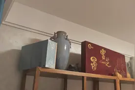 我家猫咪晚上不想进猫窝，跳到博古架最高处藏起来。#惬意时光