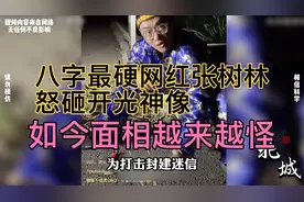 八字最硬网红张树林，怒砸开光神像，如今面相却越变越怪视频封面