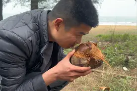 海边捡的这种干皮老椰子，贺子现场开果，里面的水还能喝吗？