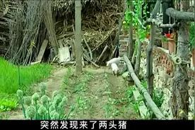 #因为一个片段看了整部剧 ，我的观影报告 希望朋友们喜欢😻视频封面