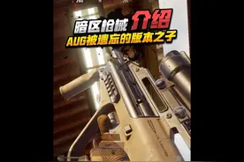 暗区枪械介绍【AUG】