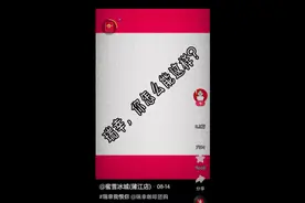 大型记录片《蜜雪冰城模仿记传奇》视频封面