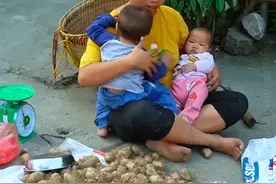 《十二》日子似乎回归了平淡，但单身母亲的活还是很多，干不完