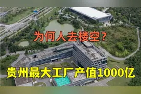 探访贵州最大的工厂：富士康！3座故宫的规模，为何人去楼空？视频封面