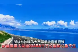 新疆赛里木湖面积458平方公里却寸鱼不生，移植高白鲑鱼20年现况