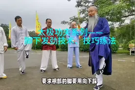 太极功夫系列——脚下发劲技术、技巧练法视频封面