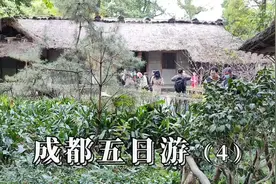 成都游第四天，去了杜甫草堂打卡人民公园晚上看了双子塔的灯光秀视频封面