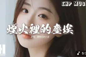 弹棉花的小花 - 烟火里的尘埃（释怀版）『我的心里住着一个苍老视频封面