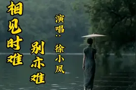 徐小凤的《相见时难别亦难》低沉而深情的歌声 凄婉柔美百听不厌视频封面
