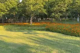 来来来，教你一个小技巧，免费在快手上挣零花钱，拿走不谢！