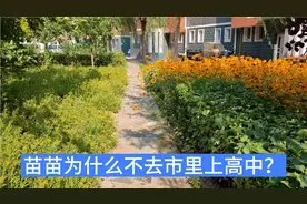 苗苗初二就想去市里上高中，后来选择留在家里的原因是什么？