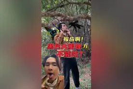给大家介绍一下竹筒蜂