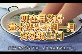 现在用艾叶煮水洗头 不到一个月好处找上门视频封面