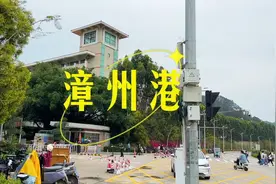 到了厦门总得去一趟漳州港吧！公交车65岁以上老人都免费！视频封面