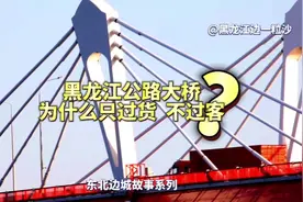 别吐槽了！为什么黑龙江大桥只能货运不能客运，俄罗斯给出了答案视频封面