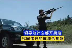 沙瑞金坐30万的奥迪，祁同伟开80万的霸道