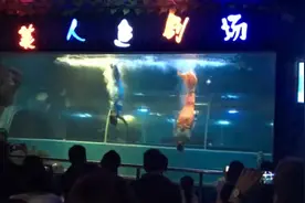 美人鱼公主表演，台上一分钟，台下十年功，点点关注，点点赞！视频封面