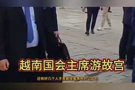越南国会主席游故宫，随行人员好几个都提着黑色公文包！视频封面