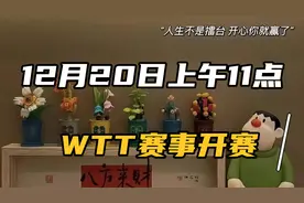 12月20日上午11点：2025WTT赛事即将开赛！国乒12人参赛