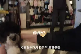 告别房车住酒店，这两种旅行方式哪种性价比高？对比后一目了然视频封面