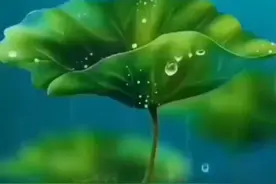 荷塘月色（完整版）视频封面