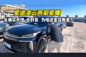 粉丝的星途凌云两驱星耀，车况不错也是好卖的车型，为啥不敢收？