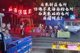 一夜间，乐东的九所不是海南的九所，变成了东北的九所，为哪般？