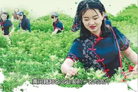 黄冈籍知名企业家前十名简介视频封面