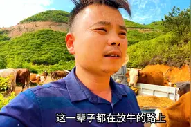 一窝狗挑出一条好狗老六带去放牛，今天遭到不幸真是太可惜了。