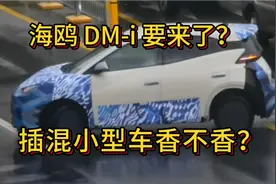 海鸥 DM-i要来了？插混小型车香吗？技术难点在哪里？ #比亚迪视频封面