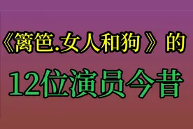 《篱笆.女人和狗》的12位演员今昔， 银锁 铜锁 ！你最喜欢哪位呢视频封面