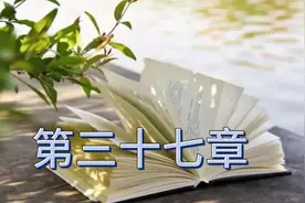 #意气用事视频封面