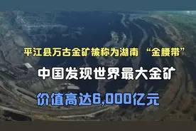 价值830亿美元！外媒关注：“中国发现世界最大金矿”！视频封面