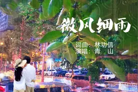 男声版《微风细雨》，昔日情歌王子宝岛歌王青山是这样演唱的！