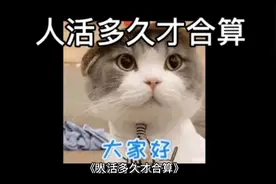 人活多久才合适视频封面