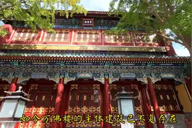 北海公园万佛楼：菊花展视频封面