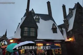 盲人去环球影城是什么体验？残障人士专属无障碍攻略！ #旅行 #视频封面