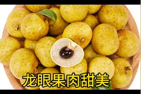 龙眼功效：补血益气、养心益智、养颜美容视频封面