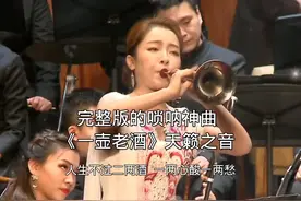 完整版的唢呐神曲《一壶老酒》天籁之音，纯音乐， 唢呐音乐分享视频封面